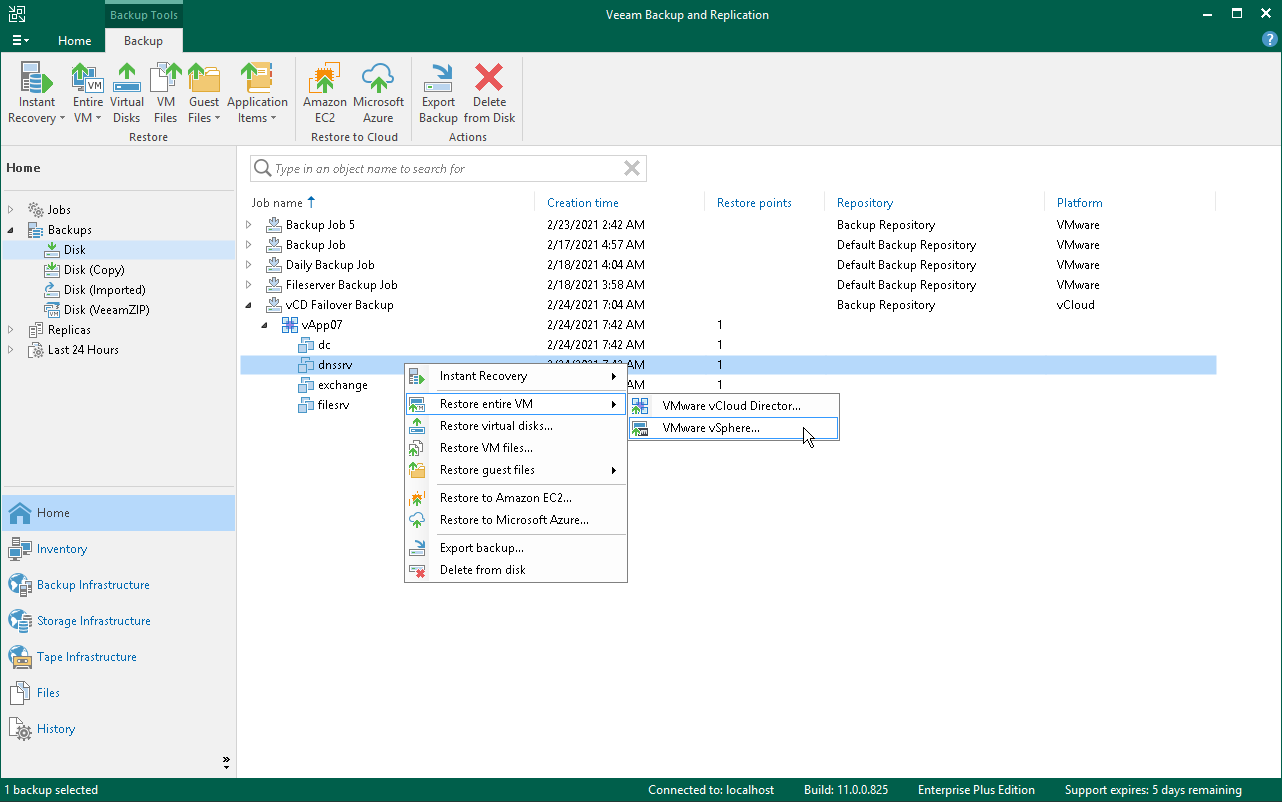 Restoring Entire VMs into vSphere Infrastructure